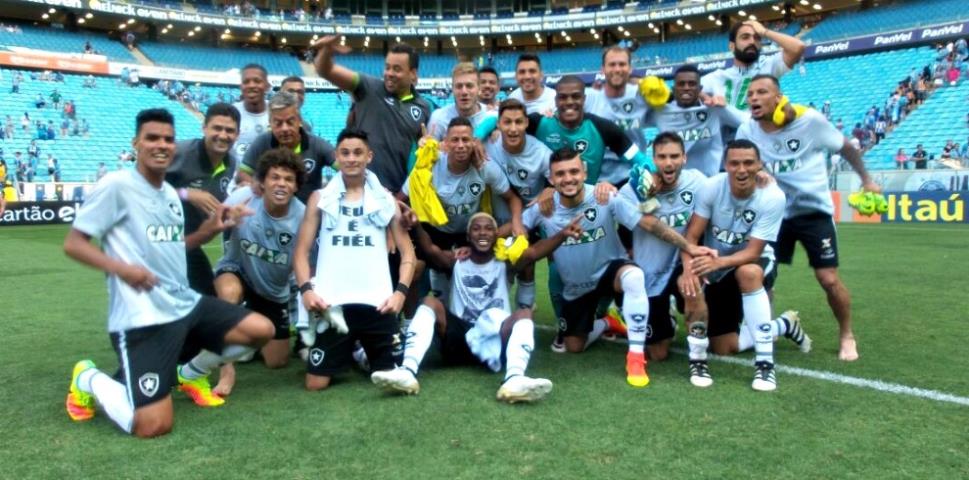 Botafogo se garante na Libertadores 2017