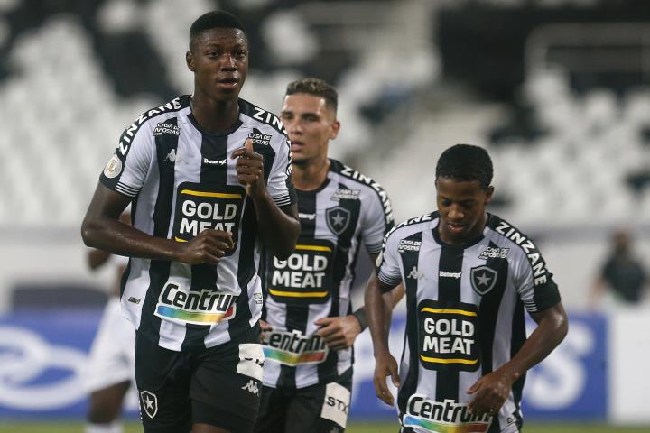 Botafogo volta a vencer no Brasileirão