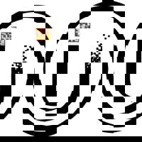 INSTITUTO SOCIAL DE ESP LAZER SAÚDE INCLUSÃO SOCIAL E MEIO AMB. (NOME FANTASIA: INSTITUTO PLANEJAR)