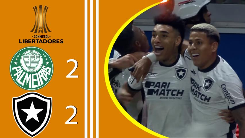 Palmeiras 2x2 Botafogo - Libertadores - Oitavas de Finais - Jogo de Volta