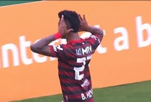 Brasileiro 2019 Série a - Chapecoense-sc 0 X 1 Flamengo - 23ª Rodada