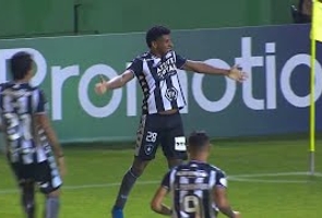 Brasileiro 2019 Série a - Chapecoense-sc 0 X 1 Botafogo - 35ª Rodada